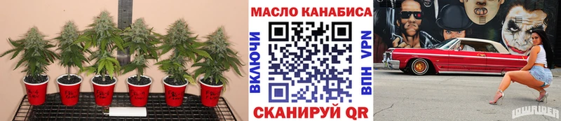 shop состав  где найти наркотики  Осинники  ТГК Wax 