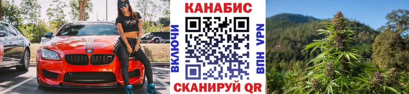 Бошки Шишки план  Осинники 